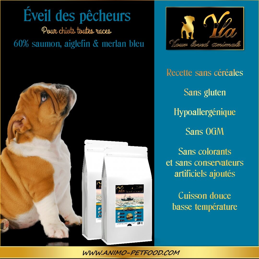 croquettes-sans-cereales-pour-chiots